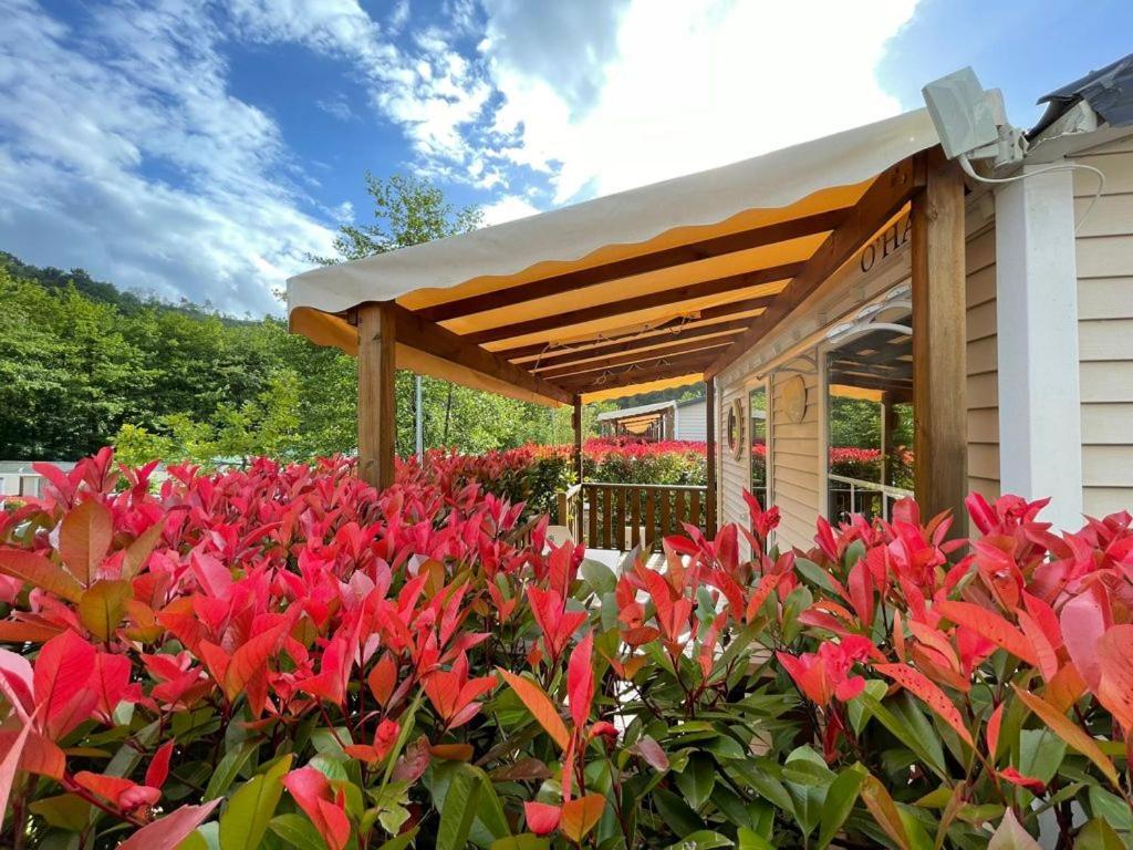Camping Igara De San Sebastian Ngoại thất bức ảnh